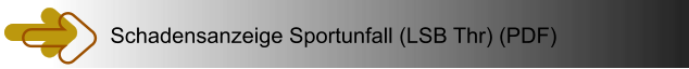 Schadensanzeige Sportunfall (LSB Thr) (PDF)